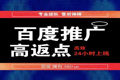 SEM代运营经典案例解析与启示